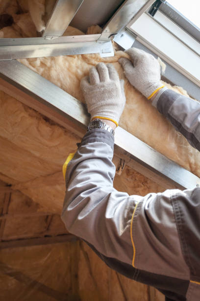 Best Commercial Insulation in North Tustin, CA
