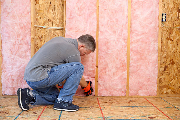 Best Types of Insulation in North Tustin, CA